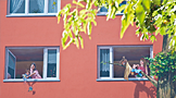 fenster2
